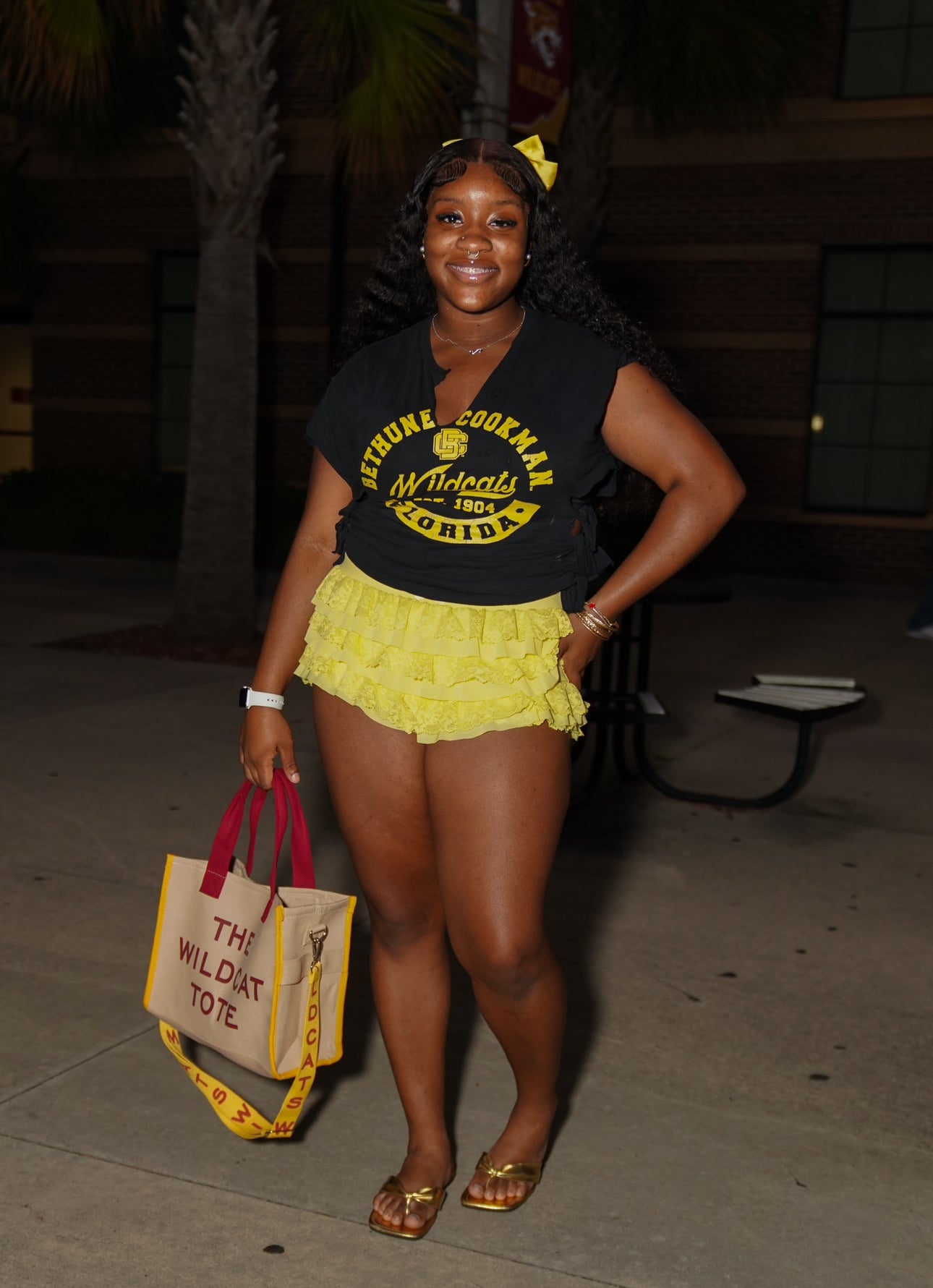 The Wildcat Tote