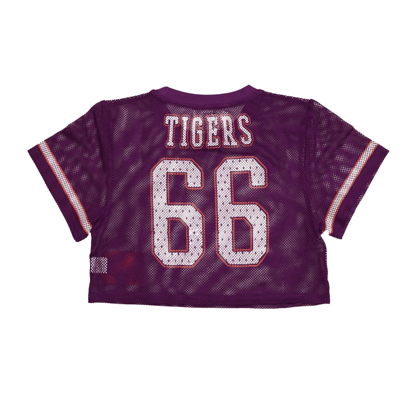 Edward Waters Tigers Cropped Jersey