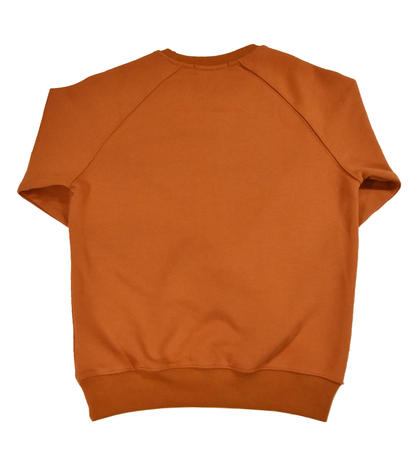 Brazen Sweatshirt
